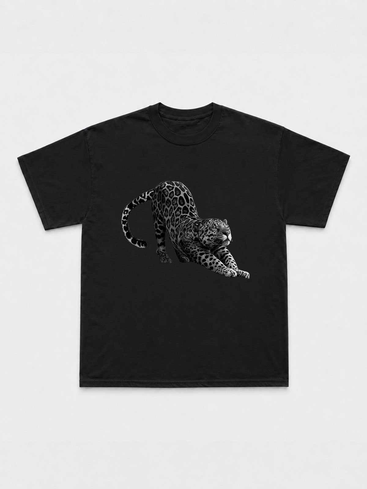 Big Stretch T-Shirt