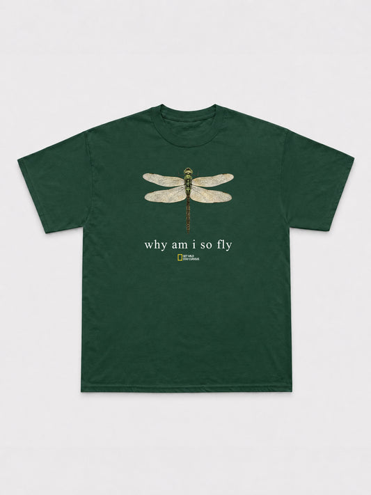 Why Am I So Fly T-Shirt