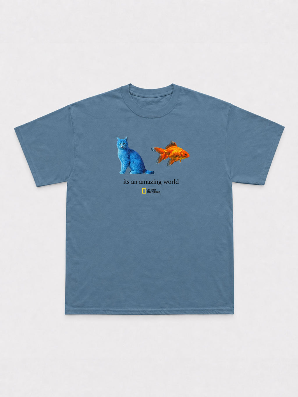 It's An Amazing World T-Shirt