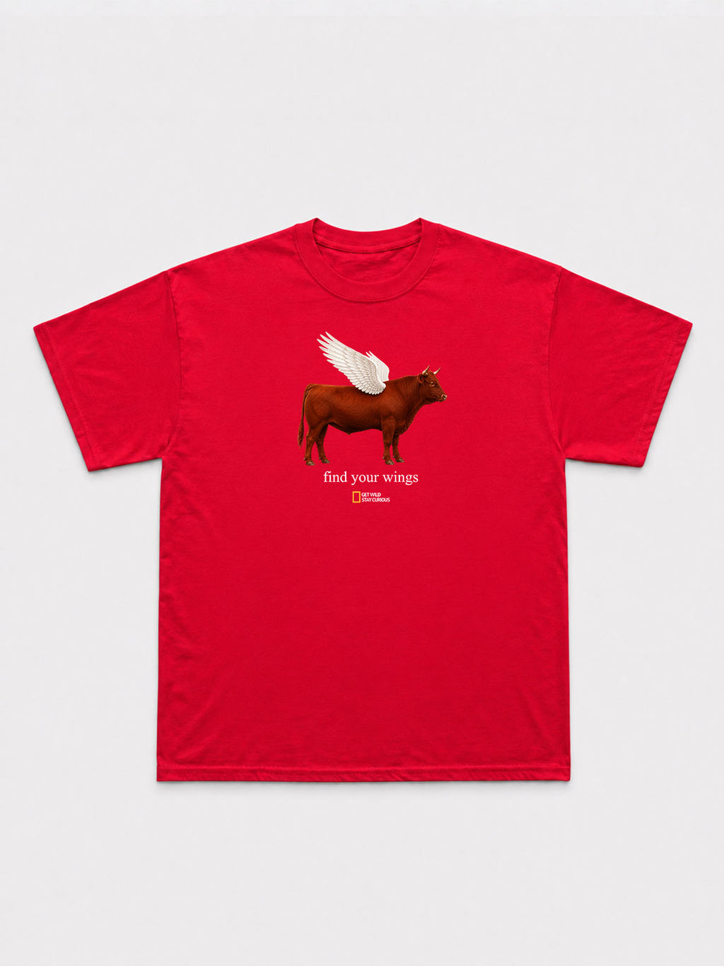 Find Your Wings T-Shirt