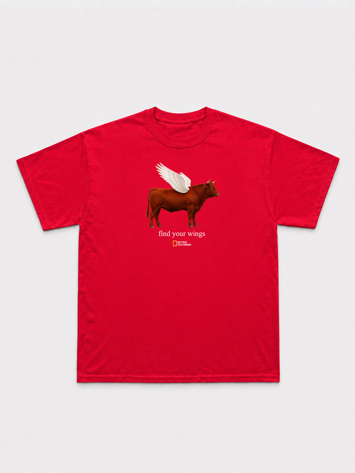 Find Your Wings T-Shirt