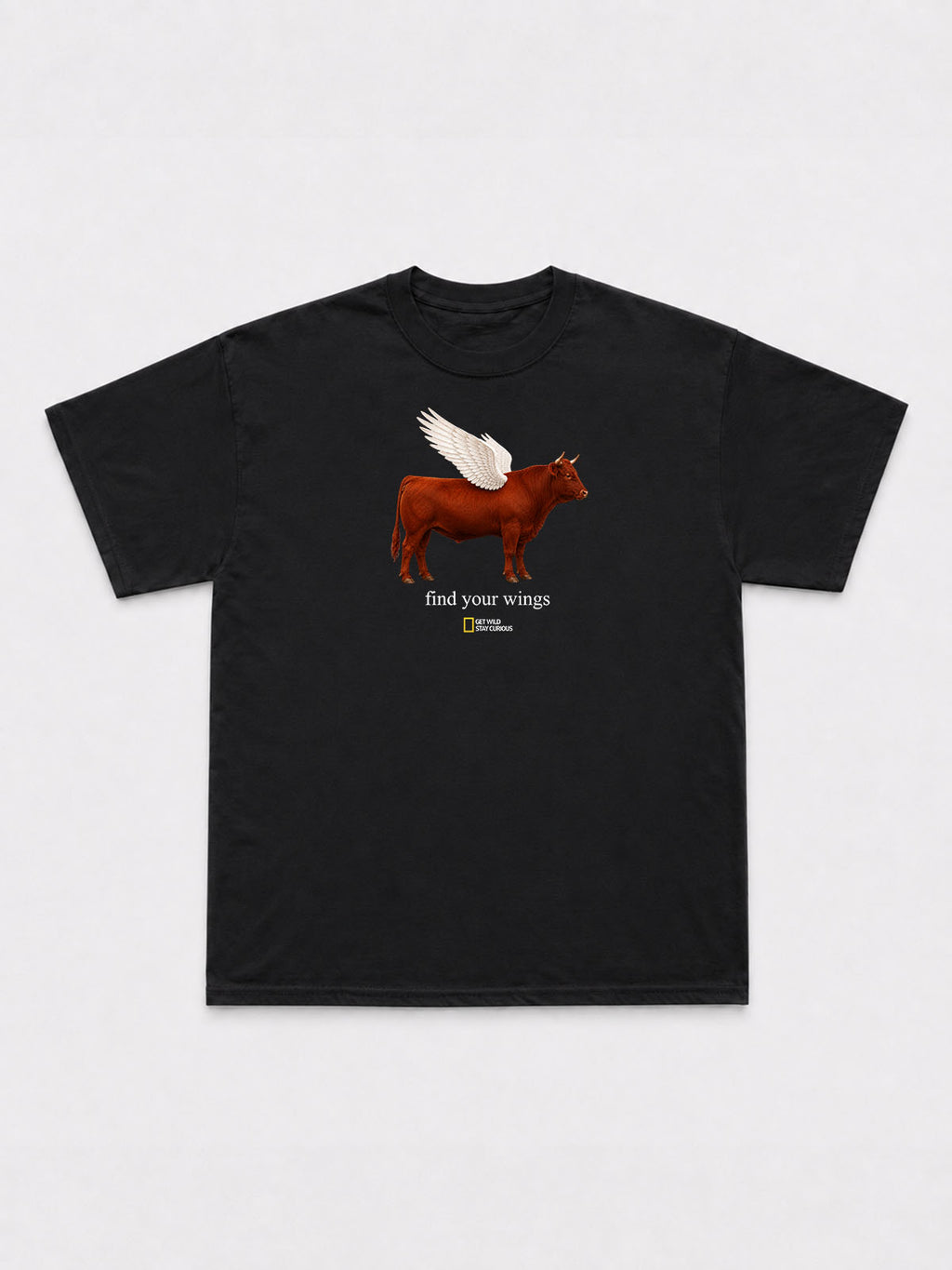 Find Your Wings T-Shirt
