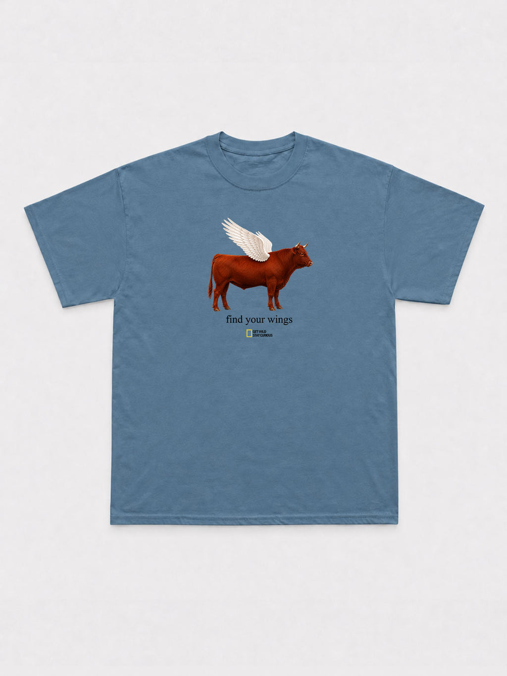 Find Your Wings T-Shirt