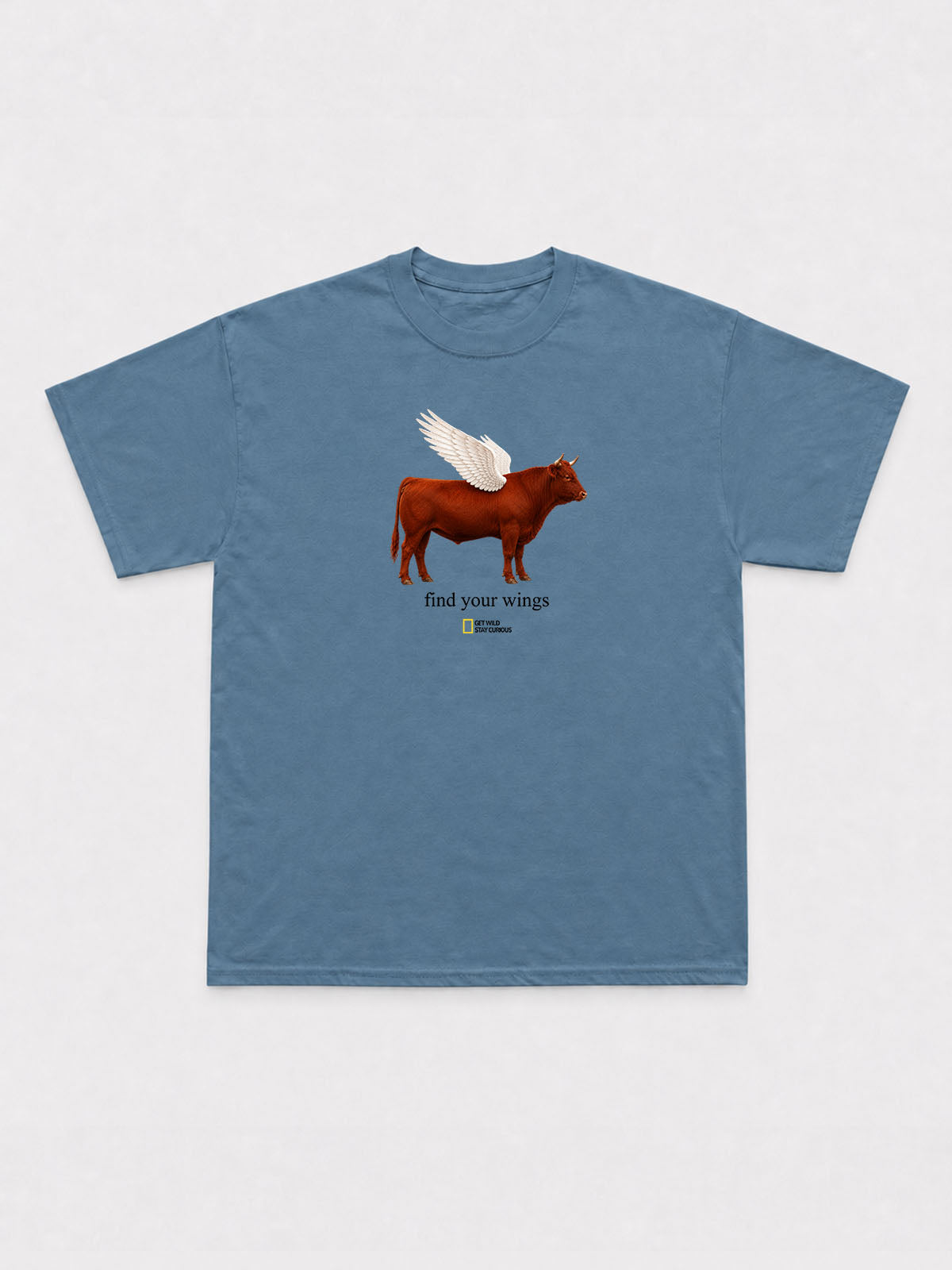 Find Your Wings T-Shirt