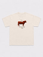 Find Your Wings T-Shirt