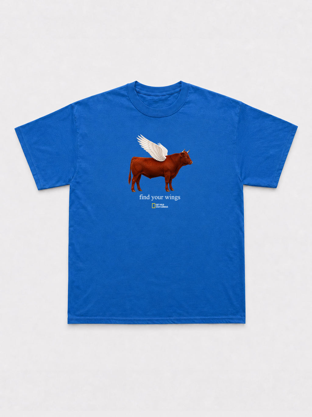 Find Your Wings T-Shirt